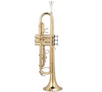 Brass Trumpet Brass Lacquered Gold Beginner B-flat Alto Getting Started Orchestra Trumpet Instrument
