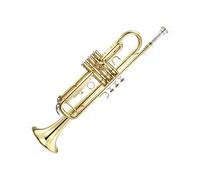 Brass Trumpet Brass Trumpet Beginner Amateur Trumpet Musical Instrument Professional Playing B Flat Key Trumpet (Color : Gold)