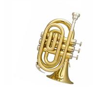 brass Trumpet Palm Number Portable Trumpet B-flat Cornet Brass Instrument Professional Band Performance