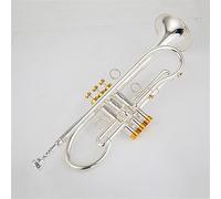 brass Trumpet Professional Trumpet Bb Tune Brass Gold Plated Surface Professional Music Instruments (Color : Silver)