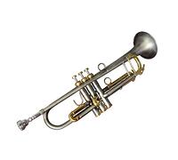 Brass Trumpet Senior Professional Antique Silver Body Golden Key Imported Piston Trumpet
