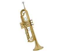 brass Trumpet Student Trumpet In B-flat Major Playing Brushed Lacquer Gold