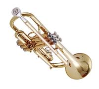 brass Trumpet Students In B-flat Major Examination Band Play Universal Trumpet Instrument