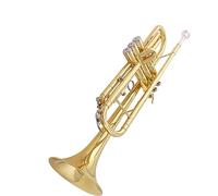 brass Trumpet Students Playing Trumpet Instruments In The Key Of B-flat Lacquered Gold Wind Instruments For Examination