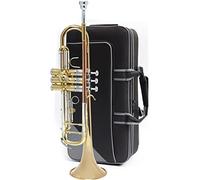 Brass Trumpet Three-tone Trumpet Instrument, Bugle, B Flat, Suitable For Beginners, Young Pioneers, And Professional Drum Horn Team (Color : 5)