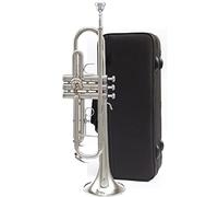 Brass Trumpet Three-tone Trumpet Instrument, Bugle, B Flat, Suitable For Beginners, Young Pioneers, And Professional Drum Horn Team (Color : 2)