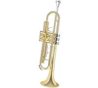 brass Trumpet Trumpet B-flat Wind Instrument Entry-level Entry-level Performance Examination Adult Student Trumpet