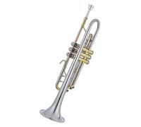 brass Trumpet Trumpet B-flat Wind Music White Copper Beginners Playing Students Adult General