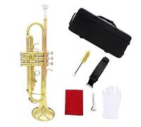 brass Trumpet Trumpet In B Flat Imported Brass Tube Body Phosphor Bronze Color For Beginners To Practice Playing The Trumpet