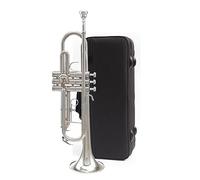 brass Trumpet Trumpet Instrument B Flat Beginner Young Pioneers Performance Examination Professional Wind Instrument (Color : Silver)