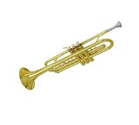 brass Trumpet Trumpet Instrument B Flat Beginner Young Pioneers Performance Examination Professional Wind Instrument (Color : Gold)