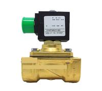 Brass Two-Way Solenoid Valve 21HT4K0Y160 24V 110V 220V(DC24V/14W)