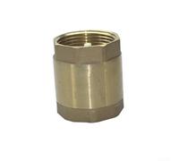 Brass Vertical One Way Check Valve with Plastic Core, Spring Mechanism for Non Return Flow Suitable for Various Water Management Applications