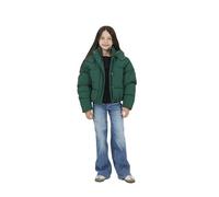 BRAVE SOUL Girls Puffer Jacket with Hood, Full Zip, 2 Buttoned Pockets & Inner Pocket - Winter Coat, Green Colour, Age 13 Years