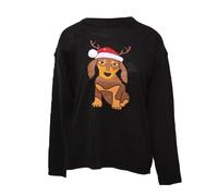 Brave Soul Womens Have A Merry Christmas Dog Jumper