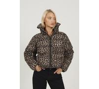 Brave Soul Women's Leopard Print Short Puffer Jacket With Oversized Collar in Brown | Size: 12 Brave Soul Brown 12