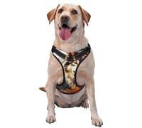 Brave Wolf in Flames reflective Oxford unobstructed pet vest, easy to control handle, suitable for small, medium and large dogs