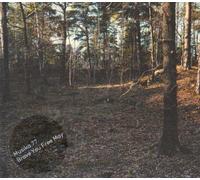 Brave You Free May by Musika 77