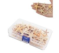 BraveWind 20Pcs/Box Natural Starfish Seashell Beach Craft Ocean Beach Starfish-Natural Seashells Starfish Small Starfish Star Beach Crafts For Fish Tank Decor Diy Crafts.