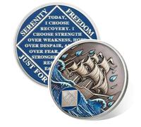 Braving The Storm 26 Year Sober Coin, Nautical NA Coin, Addiction Recovery Twenty-six Year Sober Chip, Celebrating Recovery Anniversary Token, Narcotics Anonymous Sobriety Gifts for Men Women
