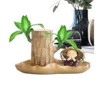 Brazil Wood, Brazil Wood Plant, Small Tabletop Plant | Indoor Desktop Plant, Air Purifying Sprouted Wood, Home Plant Decoration for Table
