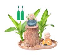Brazil Wood Plant | Brazil Wood Potted Plant - Home Decoration with Figurine for Coffee Shop Living Room Outdoor Waiting Areas Hotel Bedroom Patio