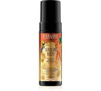 Brazilian Body Luxury Self Tan Mist / Express Bronzing Mousse / Body Shimmer