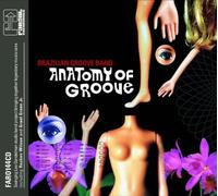 Brazilian Groove Band - Anatomy of Groove
