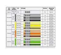 Brazilian Jiu Jitsu Belt Progression Chart Poster White Blue Purple Brown Black Belt Rank System Jiujitsu Gym Wall Art Decor(Framed,12x18inch(30x45cm))