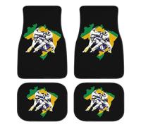 Brazilian Jiu-Jitsu Brazil Fashion Car Floor Mats Set of 4 Waterproof Non-Slip Carpet Accessories