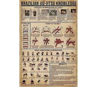 Brazilian Jiu-Jitsu Knowledge Metal Tin Sign How To Tie Belt Chart Wallart Artwork Poster Farm School Office People Cave Bedroom Livingroom Vintage Plaque Decoration 8x12 inch