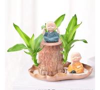 Brazilian Lucky Wood Plant, Brazilian Lucky Tree with Meditation Figure, Mini Brazil Lucky Wood, Brazilian Wood Hydroponic Plant, Brazilian Wood Plant Gift