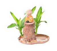 Brazilian Lucky Wood Plant,with Pot Hydroponic Potted Plant Stump,for Desk Decoration,Brazilian WoodPlants Purifying Indoor Air, DesktopPlant for Indoor Cultivation ((1pcs BrazilianWood)