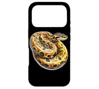 Brazilian Rainbow Boa Snake Case for iPhone 17 Pro