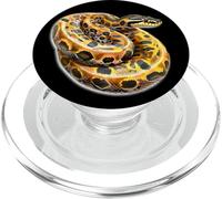Brazilian Rainbow Boa Snake PopSockets PopGrip for MagSafe