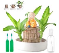 Brazilian Tree, 2025 New 10CM Brazilian Lucky Tree for Desk Decoration, Lucky Trees Brazil-Brazil Wood, Wood Stump Desktop Decor for Purifying Indoor Air (B)