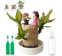 Brazilian Tree, 2025 New 10CM Brazilian Lucky Tree for Desk Decoration, Lucky Trees Brazil-Brazil Wood, Wood Stump Desktop Decor for Purifying Indoor Air (D)