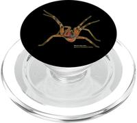 Brazilian Wandering Spider Phoneutria Fera PopSockets PopGrip for MagSafe