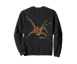 Brazilian Wandering Spider Phoneutria Fera Sweatshirt