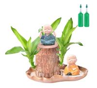 Brazilian Wood,Brazilian Wood Indoor Plant - Home Ornaments with Figurine for Kitchen Living Room Bedroom Apartment Restaurant Coffee Shop Patio Outdoor Hotel