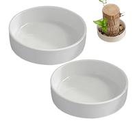 Brazilian Wood Pallet - Mini Ceramic Tray 10.5x10.5x3cm | Plant Saucers with Tray for Plant Pot, Table Plant Stand, Indoor Plant Decoration | Saucers