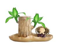 Brazilian Wood Plant, Brazilian Lucky Wood, Hydroponic Lucky Wood, Sprouting Lucky Wood Blunt, Lucky Wood From Brazil, Pot Hydroponic Plant Decoration for Study Room, K