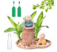 Brazilian Wood Plant - Brazilian Tree, Brazilian Lucky Wood Plant Purifying Air, Home Decoration with Figurine for Coffee Shop Living Room Outdoor Waiting Areas Hotel Bedroom Patio (1PCS)