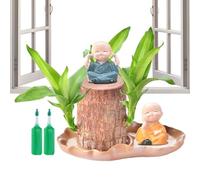 Brazilian Wood Plant,Brazilian Wood Indoor Plant - Home Desktop Decoration with Figurine for Coffee Shop Restaurant Kitchen Waiting Areas Living Room Outdoor Apartment Hotel Patio