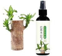 Brazilian Wood Plant Food - 100ML Lucky Bambo Liquid Fertilizer | Hydroponic Brazilian Wood Nutrient Solution | Brazilian Wood Flowering Special Nutrient Solution | Indoor Plant Fertilizer