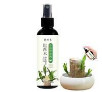 Brazilian Wood Plant Food, 100ml Lucky Brazilian Wood Houseplant Fertilizer, Lucky BambooLiquid Fertilizer, Hydroponic Plant Food For Green Radish, Bonsai