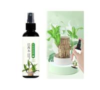 Brazilian Wood Plant Food, Brazilian Lucky Wood Plant,Lucky Bamboo Liquid Fertilizer,Brazilian Wood Flowering Special Nutrient Solution for Indoor Plants,Brazilian Wood Houseplant Fertilizer (1 Pcs)