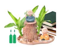 Brazilian Wood Plant Live - Brazil Wood Potted Plant - Home Decoration with Figurine for Coffee Shop Living Room Outdoor Waiting Areas Hotel Bedroom Patio
