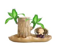 Brazilian Wood - Small Hydroponic Potted Plant, Indoor Desktop Tree | Wood Sapling Decorative Miniature Bonsai Greenery Natural Stump Plant for Office Living Room Home Table Garden Botanical Dis