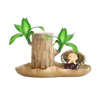 Brazilian Wooden Mini Plant Stump Decor, Waterrooted Happy Green | Indoor Plant with Roots, Natural Piece Tabletop Display for Desk Edge, Soothing Corner Zone